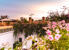 Séminaire à Marrakech