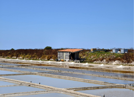 île de Ré séminaire 2
