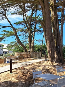 Make me travel Noirmoutier 4