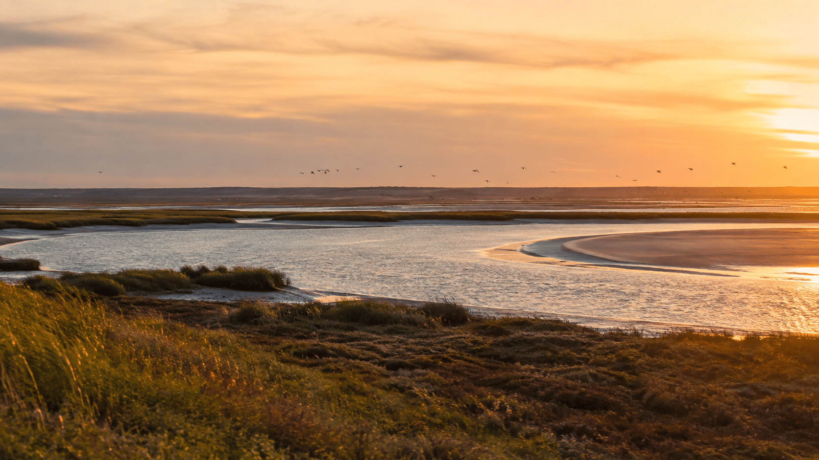 Paysage de la Baie de Somme pendant un séminaire d’entreprise nature